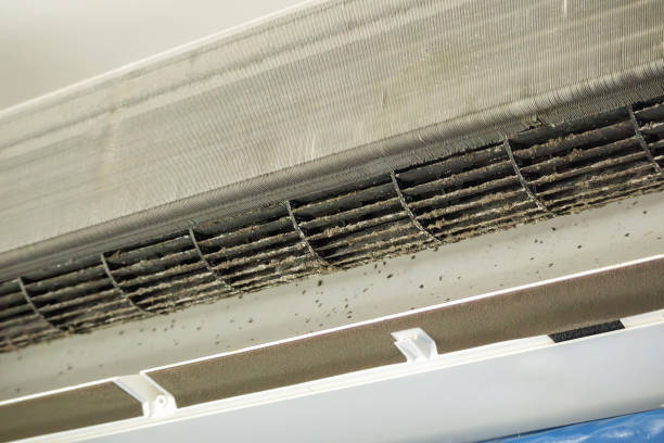 Best Best Air Duct Cleaning Company  in Buchanan Dam, TX